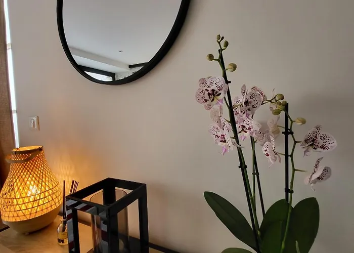 Le Patio - Calme - Hyper Centre Apartment